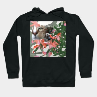 Happy Jack Cat and the Christmas Cactus Hoodie